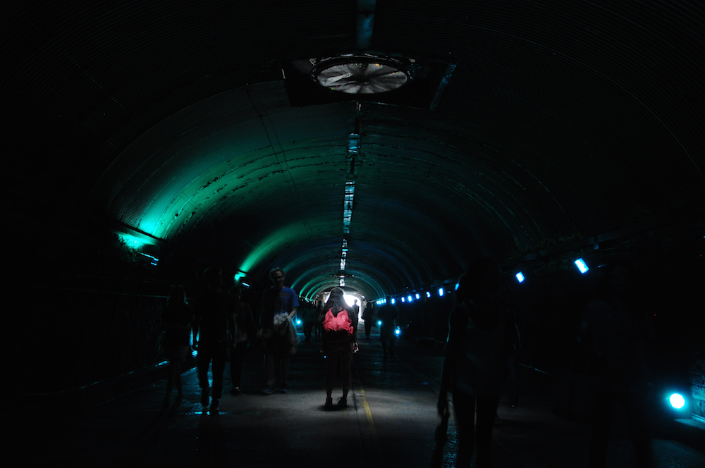 Natural Imbalance: The Threat to Female Field-Recorders