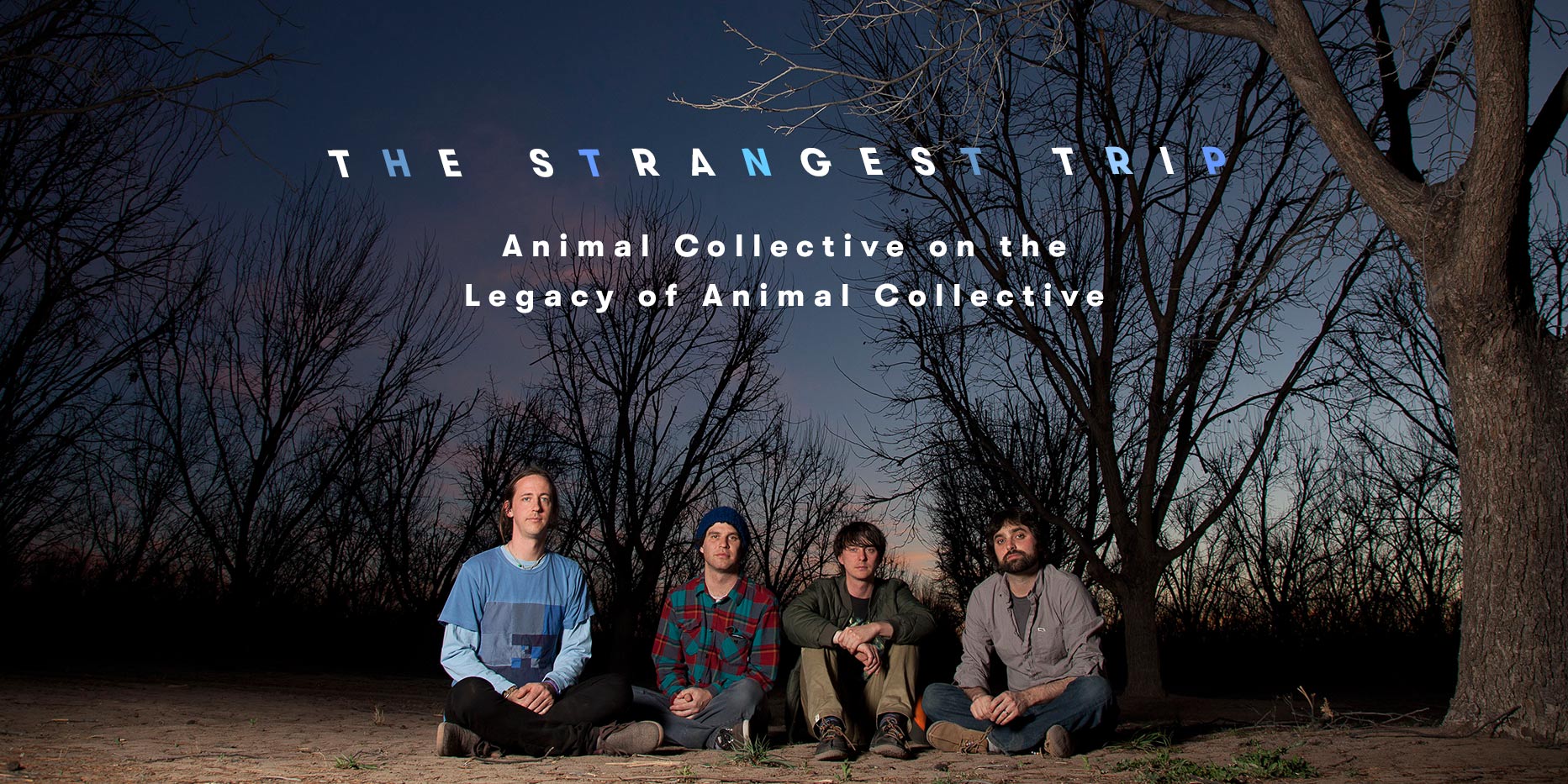 The Strangest Trip Animal Collective on the Legacy of Animal Collective Pitchfork