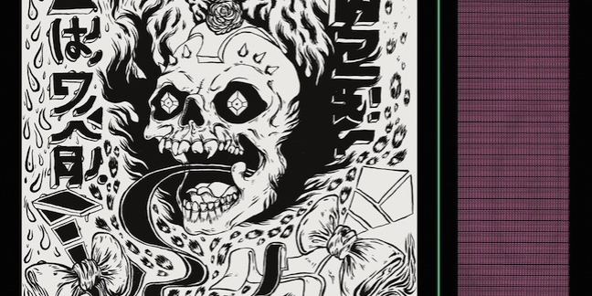 Grimes Announces Visions Bonus Discs