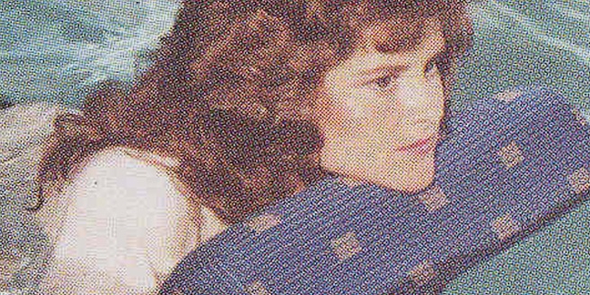 Download the New Mixtape From Sweet Valley (Wavves' Nathan Williams and His Brother)