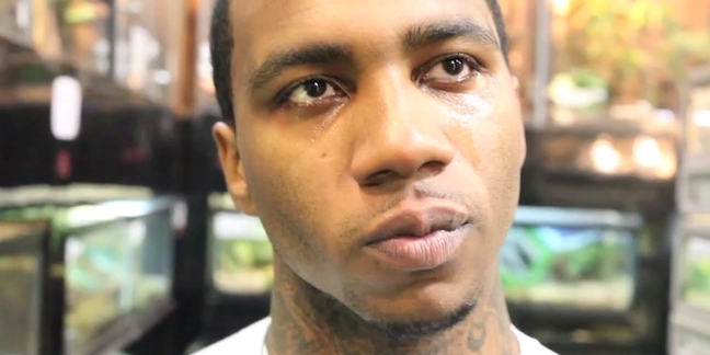 Watch: Lil B Tears Up in a Pet Store in 