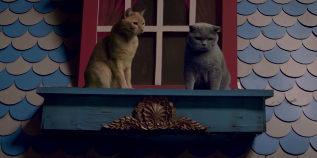 Logic’s Video for New Song “Black SpiderMan” Features Talking Cats: Watch