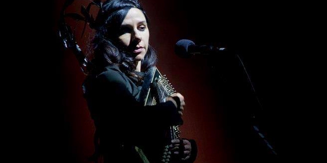 PJ Harvey Shares "The Community of Hope"