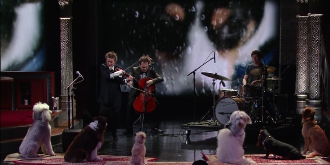 Laurie Anderson Performs for Dogs on "Colbert": Video