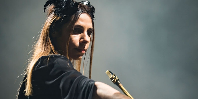 Listen to PJ Harvey’s New Song “A Dog Called Money”